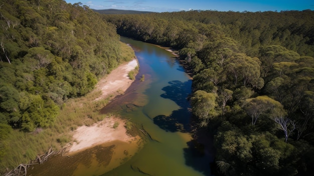 der Amazonas.