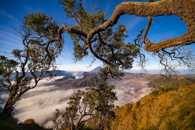 Der atemberaubende Vulkan Mount Bromo im sonnigen Hintergrund