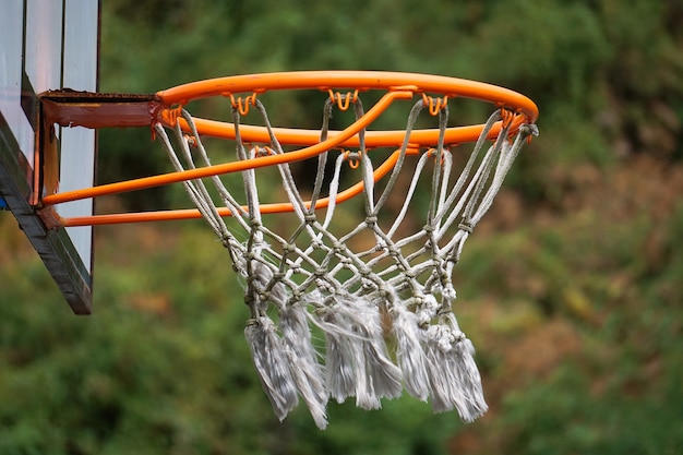 der Basketballsport