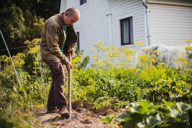 Der Bauer gräbt den Boden im Gemüsegarten Vorbereitung des Bodens für das Pflanzen von Gemüse Gartenkonzept Landwirtschaftliche Arbeit auf der Plantage