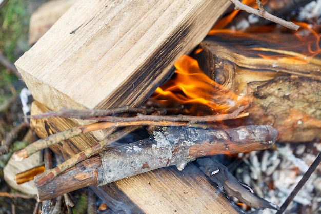 Foto der baum brennt im feuer. picknick im freien. zubereitung zum braten von fleisch