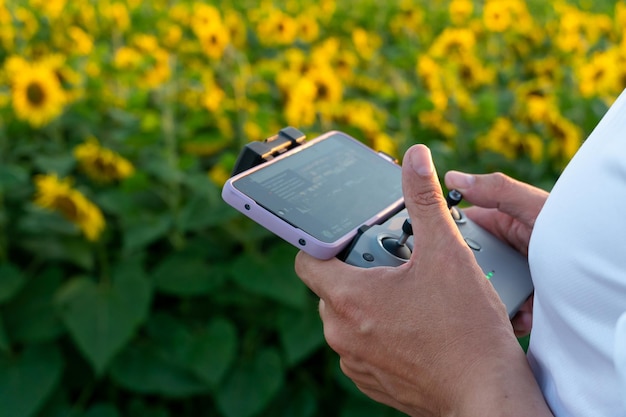 Der Bediener hält die Fernbedienung der Drohne vor dem Hintergrund eines Sonnenblumenfeldes und Wolken in den Händen Ein Bauer in einem weißen T-Shirt und einer Kappe verwendet einen Quadcopter, um in einer Industrie zu arbeiten