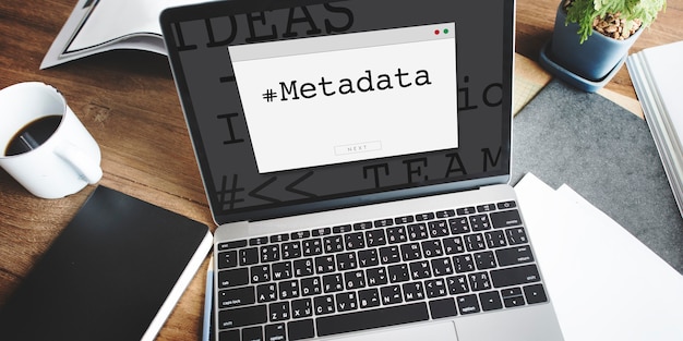 Der Benutzer stellt eine Verbindung zu Metadaten her Computerprogrammierung