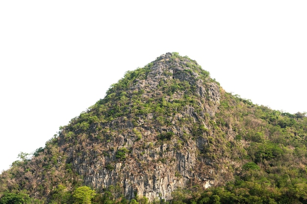 Der Berg hat viele natürliche Bäume, die vom weißen Hintergrund getrennt sind