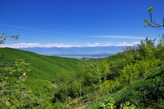 Der Berg und das Tal, Georgia