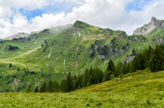 Der Berg und der Wald mit Sonnenaufgang morgens