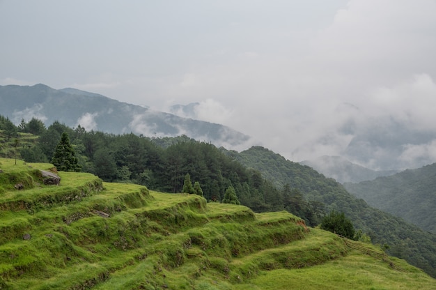 Der Berg war mit Nebel gefüllt und vor dem Berg waren grüne Felder