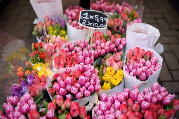 Der berühmte Amsterdamer Blumenmarkt (Bloemenmarkt). Mehrfarbentulpen.