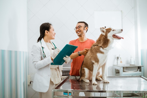 Der Besitzer des sibirischen Hundes lächelt dem schönen Tierarzt zu, während er die Krawatte des Hundes hält