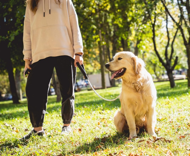 Der Besitzer spielt den Golden Retriever Hund im Park