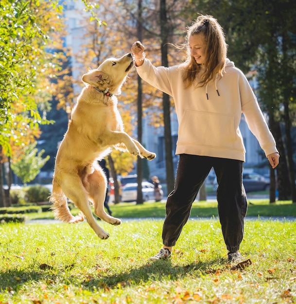 Der Besitzer spielt den Golden Retriever Hund im Park