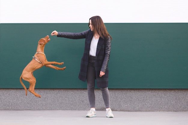 Der Besitzer trainiert den Hund.