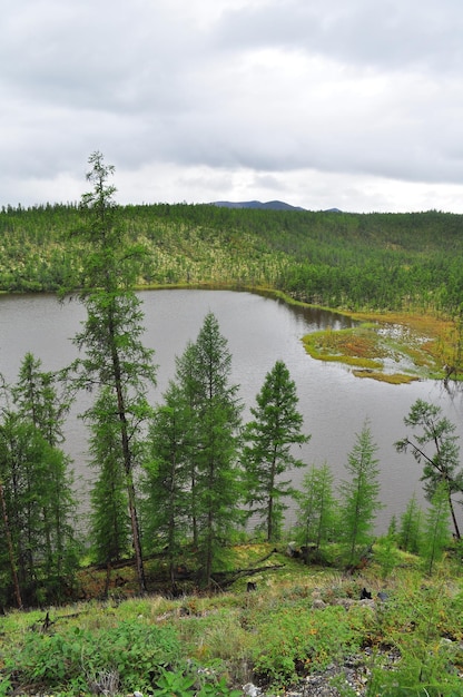 Der bewölkte Tag des Yakut Taiga Sees