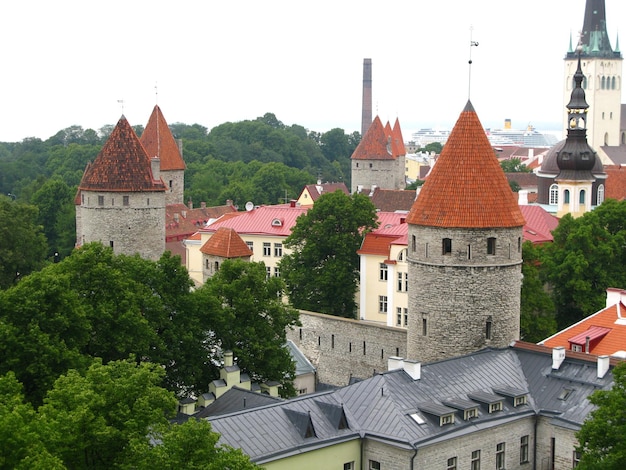 Der Blick auf die Altstadt von Tallinn Estland