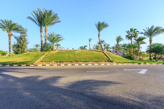 Der Blick auf Straße und Palmen in der Nähe der Hotels