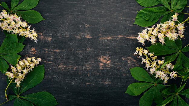 Der Blütenstand Kastanie Heilpflanzen Auf einem hölzernen Hintergrund Ansicht von oben Kopieren Sie Platz
