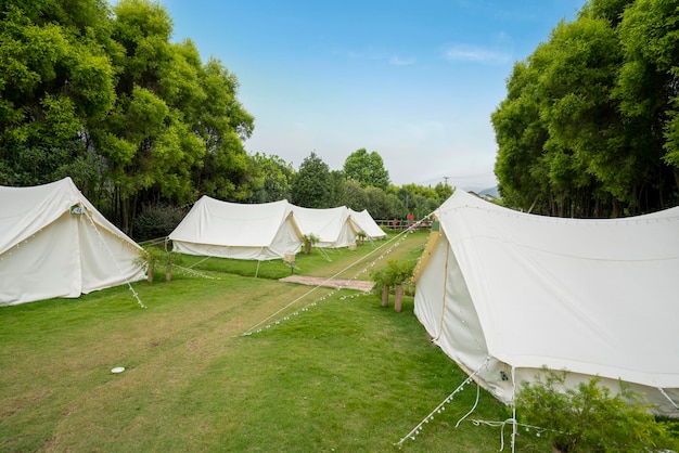 Der Campingplatz im Wald ist mit Zelten bedeckt
