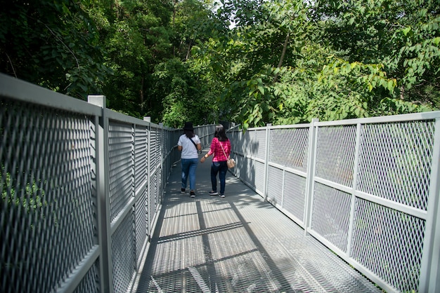 Der Canopy Walkway, Thailands längster Baumkronenweg, wird im Queen Sirikit Botanical Garden eröffnet