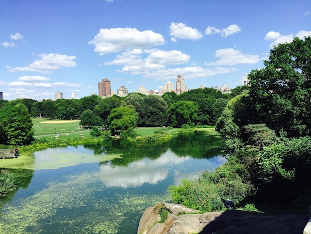 Foto der central park