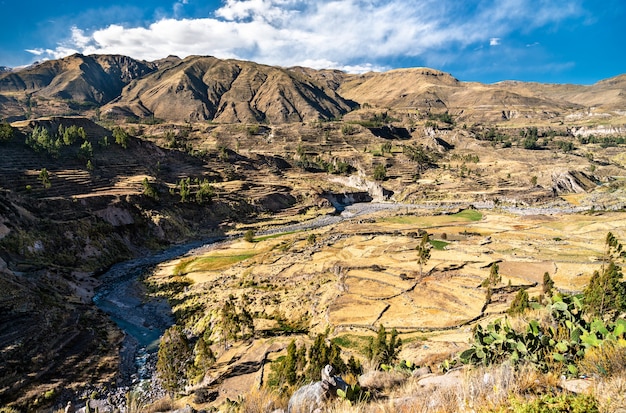 Der Colca-Fluss mit seinem Canyon in Peru