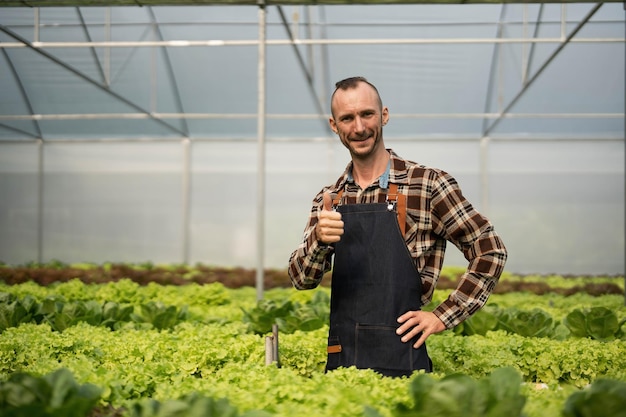 Der Eigentümer des Hydroponik-Gemüsegartens überprüft die Qualität des Gemüses und überprüft oder zeichnet das Wachstum des Gemüses im Garten Gemüse im Gewächshaus auf