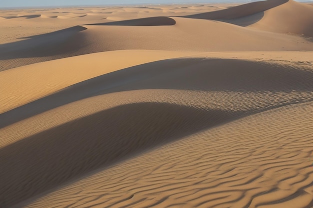 Der endlose Sand der Düne