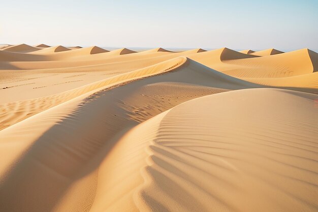 Der endlose Sand der Düne