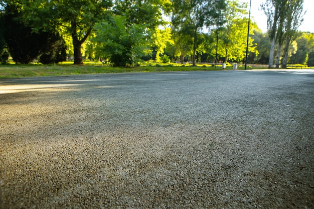 Der Fahrweg im Stadtpark mit Bäumen und Gras