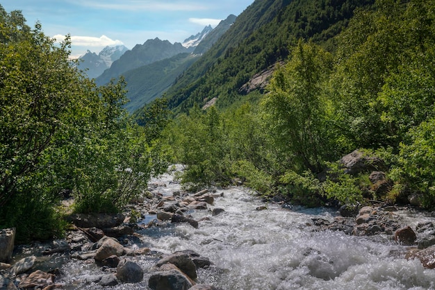 Der Fluss Alibek im Nordkaukasus an einem sonnigen Sommertag Dombai KarachayCherkessia Russland