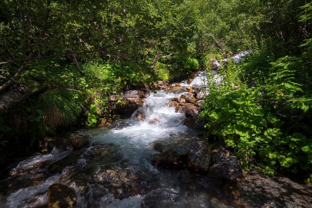 Der Fluss Alibek im Nordkaukasus an einem sonnigen Sommertag Dombai KarachayCherkessia Russland
