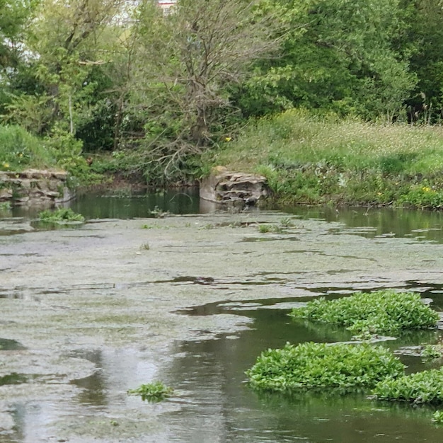 Der Fluss Avon ist ein natürliches Merkmal des Flusses Avon.