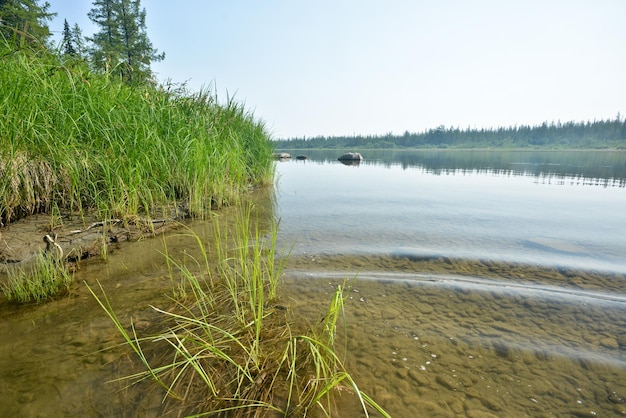 Der Fluss des Polarurals