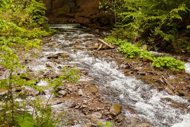 Der Fluss fließt flussabwärts vor dem Hintergrund der grünen schönen Natur.