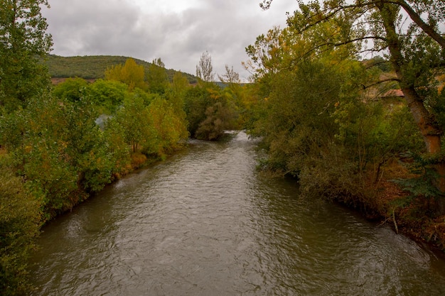 Der Fluss geht vorbei, wenn er durchfließt