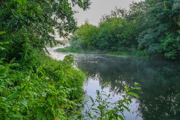 Der Fluss ist bei Sonnenaufgang mit Morgennebel bedeckt, umgeben von einem dichten grünen Wald Wilde Natur Aktive Wochenendferien wilde Natur im Freien