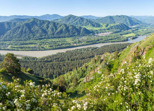 Der Fluss Katun durchfließt im Altai-Gebirge die sommerlich sonnige Landschaft