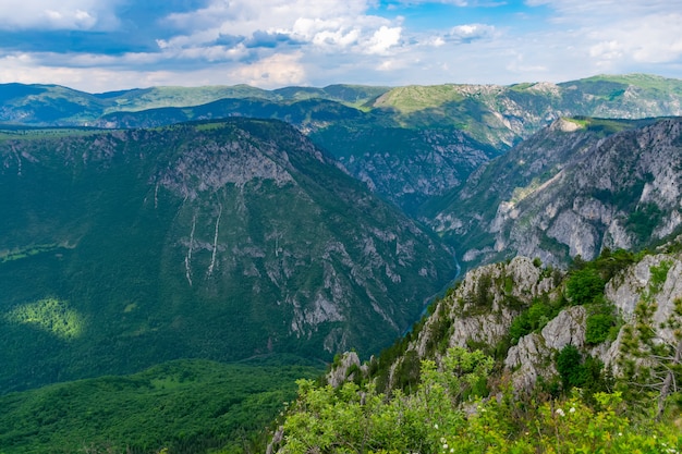 Der Fluss Tara fließt in der Tiefe des Canyons zwischen den Bergen