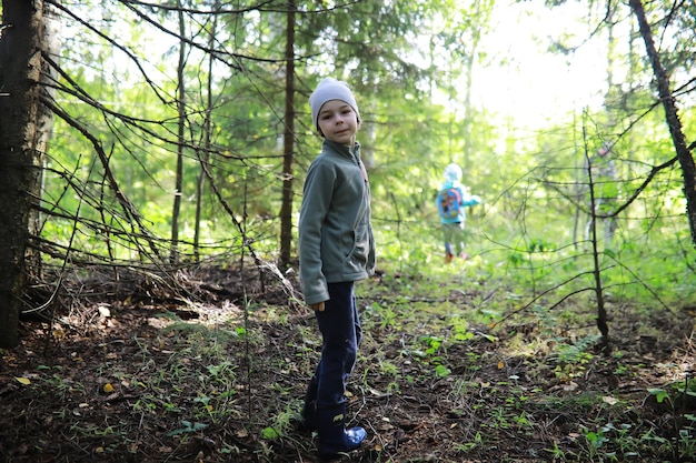 Der Förster sammelt Pilze im Wald Waldpilze sammeln Wanderung zum Waldpark mit Fliegenpilzen