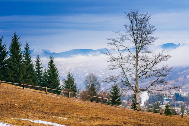 Der Frühlingsanfang in den Bergen