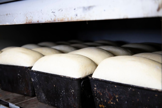 Der für das Brot ausgelegte Teig ist zum Backen geeignet und bereit