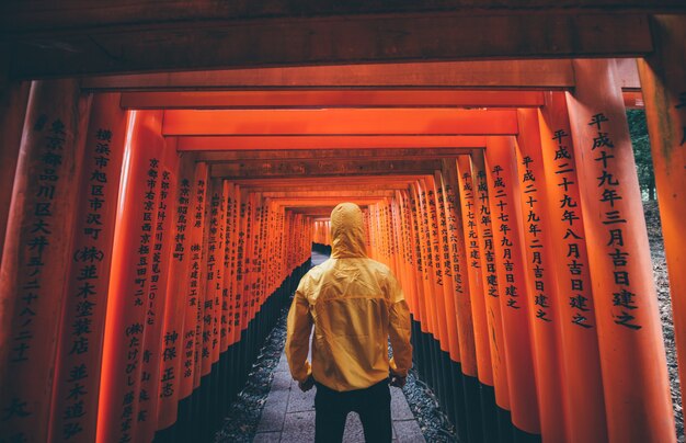 Der Fushimi-Inari-Pfad in Kyoto