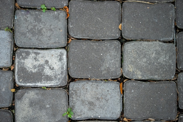 Der Fußweg besteht aus quadratischen Zementblöcken.