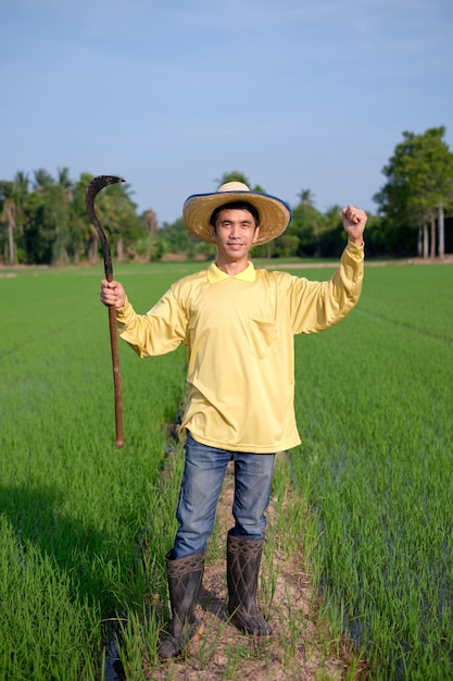 Der ganze Körper des asiatischen Bauernmannes trägt ein gelbes Hemd, das auf einer grünen Reisfarm steht und ein Sichelwerkzeug hält