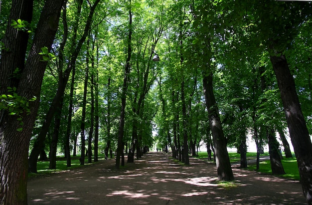 Der Garten des königlichen Palastes in Oslo, Norwegen