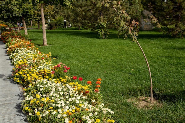 Der Garten mit wunderschönen weißen, gelb-roten Blumen, grünen Gräsern am Rand und kleinen Bäumen, die gerade heranwachsen