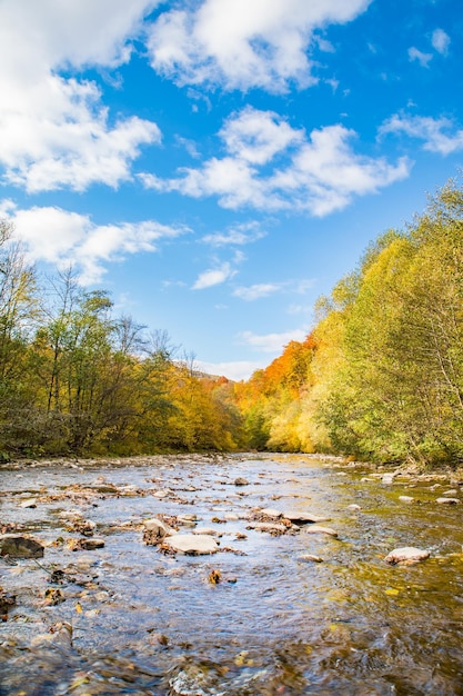 Der Gebirgsfluss, der durch den axialen Wald fließt Die Bäume sind mit gelben und orangefarbenen Blättern und grünen Blättern bedeckt Der blaue Himmel mit Wolken ist schönes Wetter Herbst Hintergrund vertikal