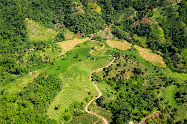 Der Gebirgsweg verbindet die Stadt und das landwirtschaftliche Gebiet Chiang Rai Thailand