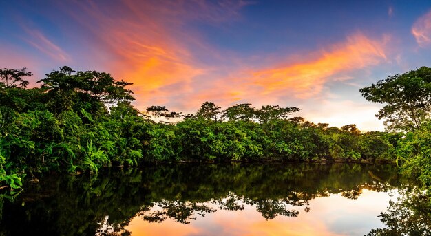 Der große Amazonas mit einem wunderschönen Sonnenuntergang in hoher Auflösung