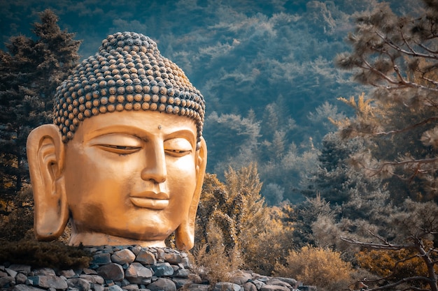 Der große Kopf der Buddha-Statue im Waujeongsa-Tempel von Südkorea