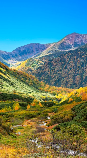 Der Herbst in den Bergen. Schöne Herbstansicht der Halbinsel Kamtschatka